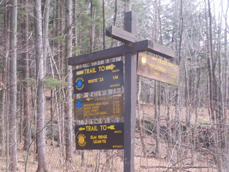 Intersection of Maplecrest Road and Windham High Peak Trail