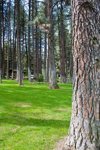 Palouse Kamiak Butte
