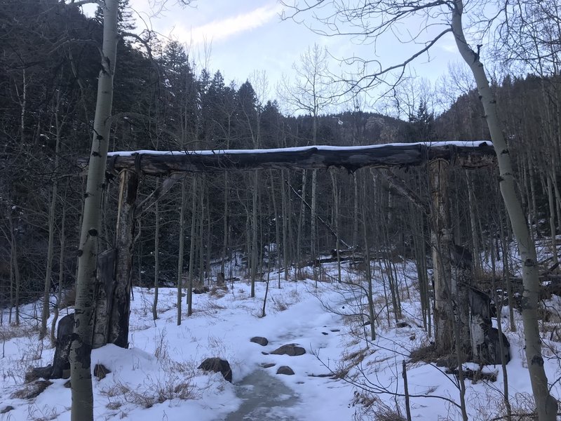 Somewhere around 1.68 miles in. Beautiful aspen grove here.