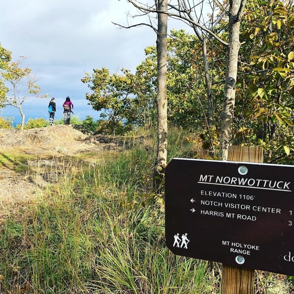 Mt Norwottuck, Mount Holyoke Mountain Range, MA.