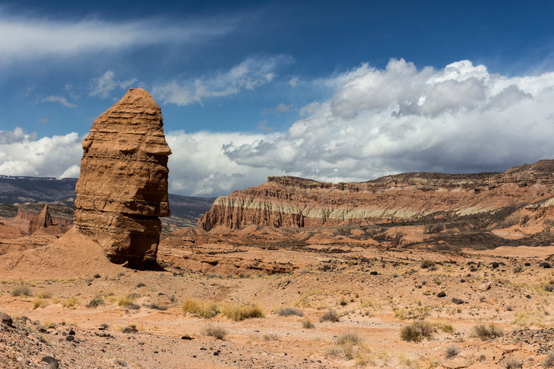 South Desert floor