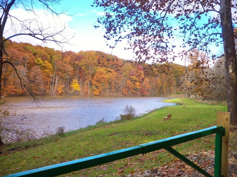 Mt. Gilead State Park - lake view with benches scattered about.