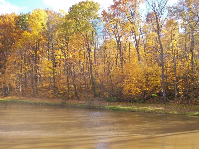 Mt. Gilead State Park - path across the lake.