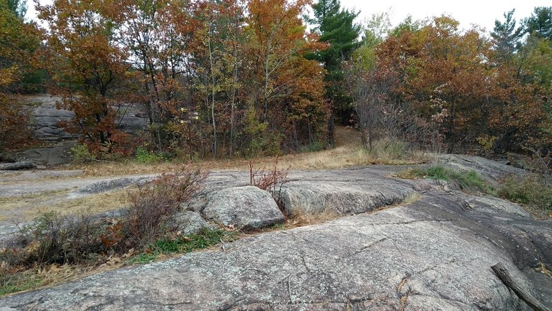 Bald rock spot at the top.