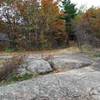 Bald rock spot at the top.