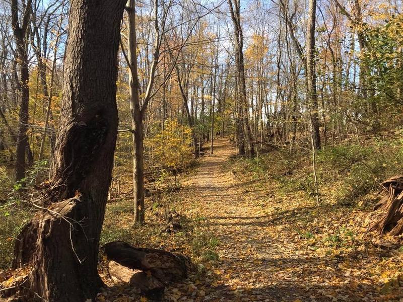 Pioneer Bridle Trail at The West Woods Geauga Park District.