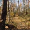 Pioneer Bridle Trail at The West Woods Geauga Park District.