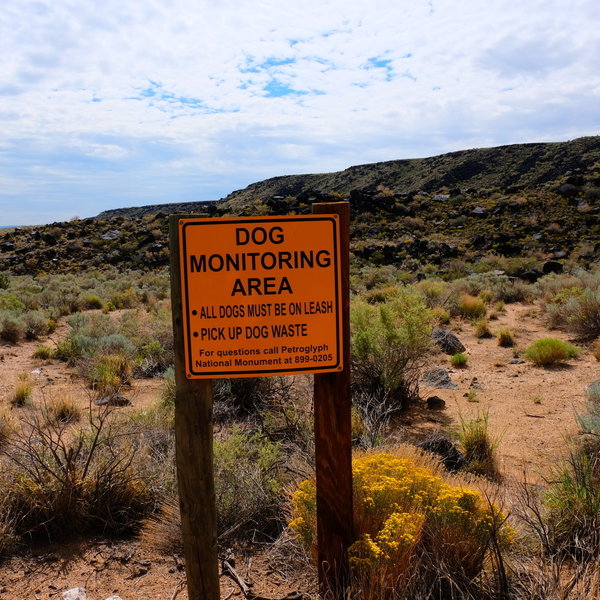 Rinconada Canyon Trail (half way).