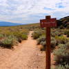 Rinconada Canyon Trail (half way).