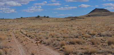 Prettiest part of the hike.