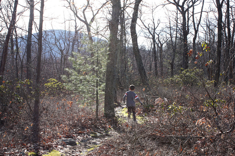 This picture is in the middle of Beautiful Trail.  It was mostly flat with a few rocks.  At the one end of the trail there was an outcropping of rocks with a pretty view.