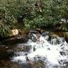 A small waterfall in Detweiler Run