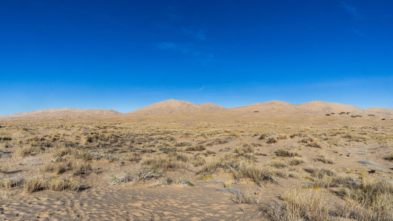 Kelso Dunes from the trail.