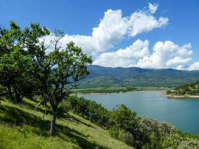 Trail at Emigrant Lake.