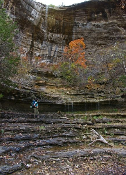 Waterfall in Roper Hollow