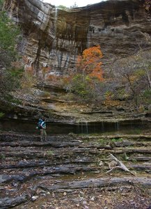 Waterfall in Roper Hollow