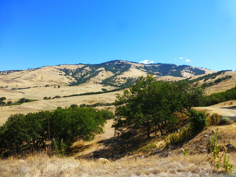 View from dam at rock climbers area.