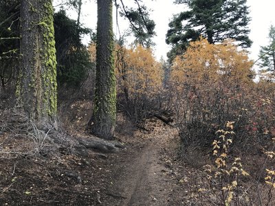 Beautiful Autumn Colors