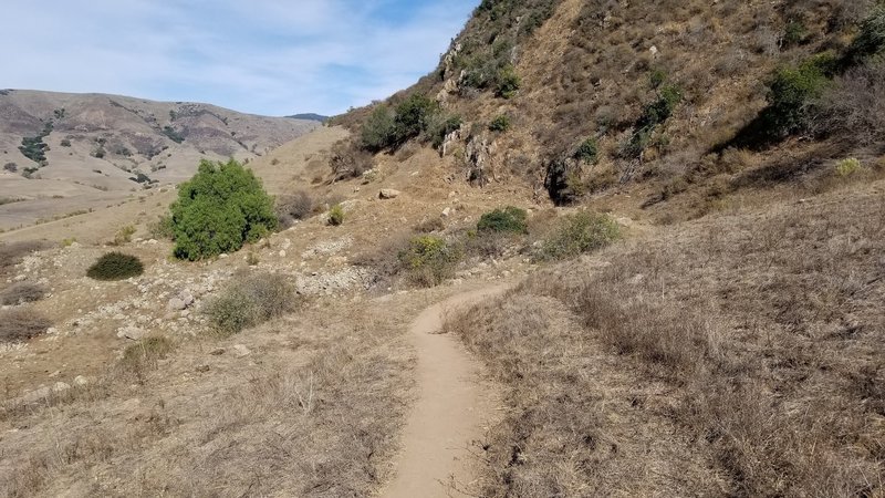 Islay Hill Trail