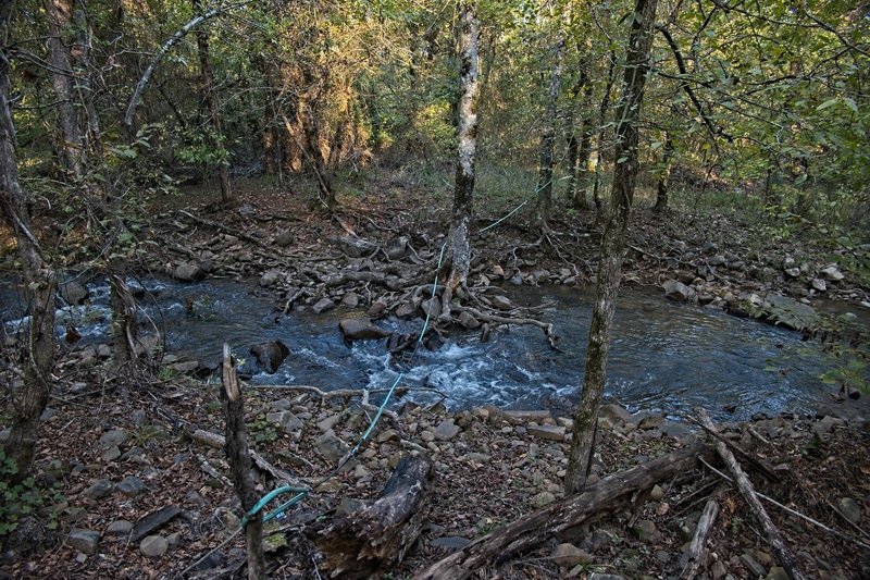 Reece Creek divides into three channels where the Ouachita Trail crosses.  This is the middle channel.