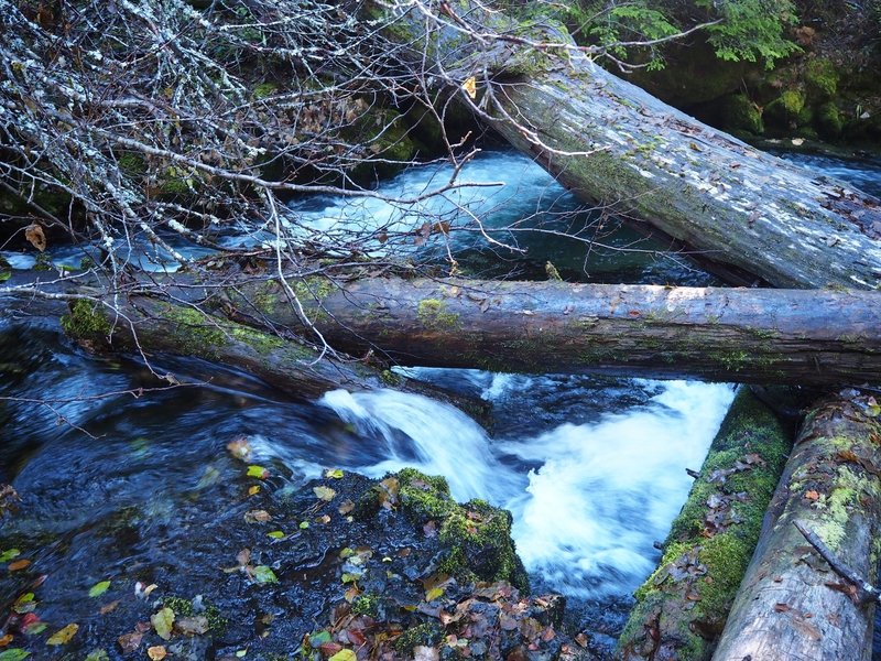 A logjam in Union Creek