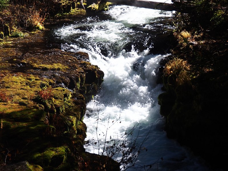 "Eight-Foot Falls" along the Union Creek Trail