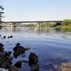 Canada geese landing in Lake Natoma