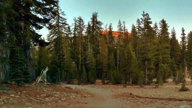 Reading Peak is seen through the trees catching the last rays of sun on a November afternoon, to the northeast, along Cold Boiling Lake Trail.