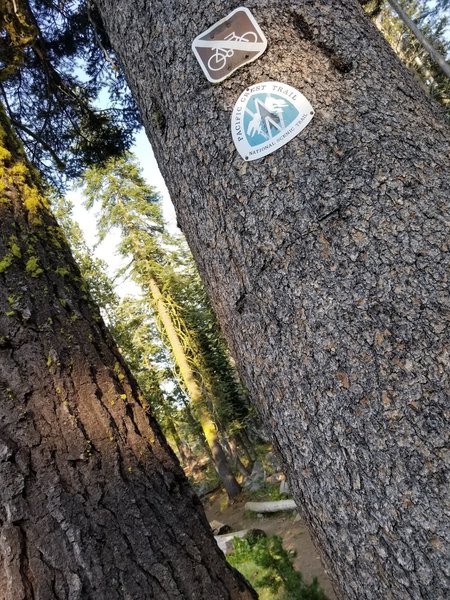 The official PCT sign.