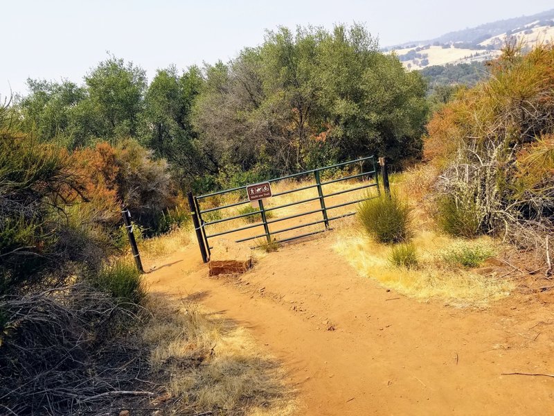 This gate is a good landmark when looking for the Acorn Trail junction just downhill and left of here (north and west).