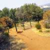 This gate is a good landmark when looking for the Acorn Trail junction just downhill and left of here (north and west).