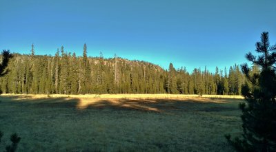 Looking east across the southern meadow of Twin Meadows from Twin Meadows Trail as the trail runs along the meadow's west edge.