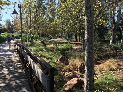 Near the community center