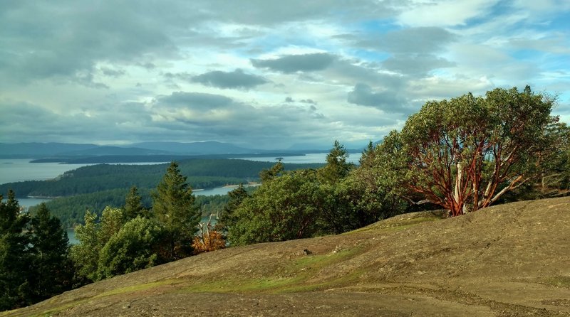 Henry Island of the San Juan Islands is on the left in the middle, Canada's Vancouver Island in the distance, and a madrone tree on the right, looking northwest from the top of Young Hill.