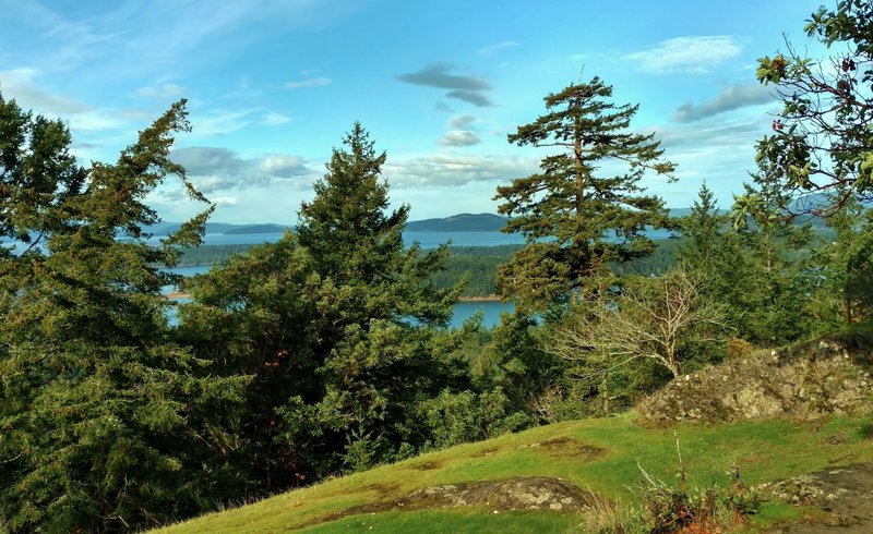 Looking north-northwest, out over the San Juan Islands to Canada from the Young Hill Overlook.