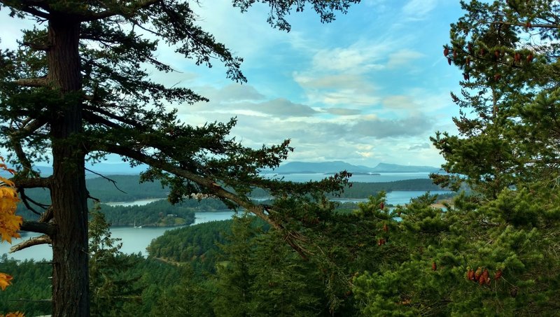 Forested San Juan Islands (near) and Vancouver Island, Canada in the distance, as seen when looking northwest through the trees along Young Hill Overlook Spur.