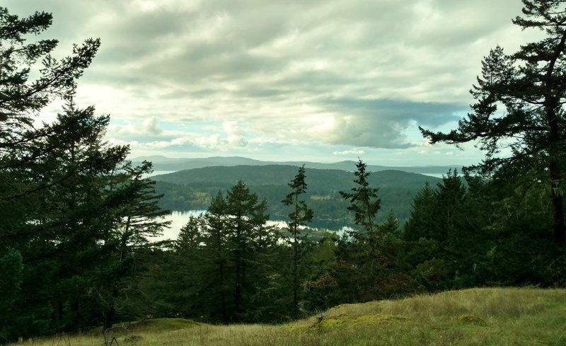 The San Juan Islands and Canada are seen through a break in the trees along Lost Oak Trail.