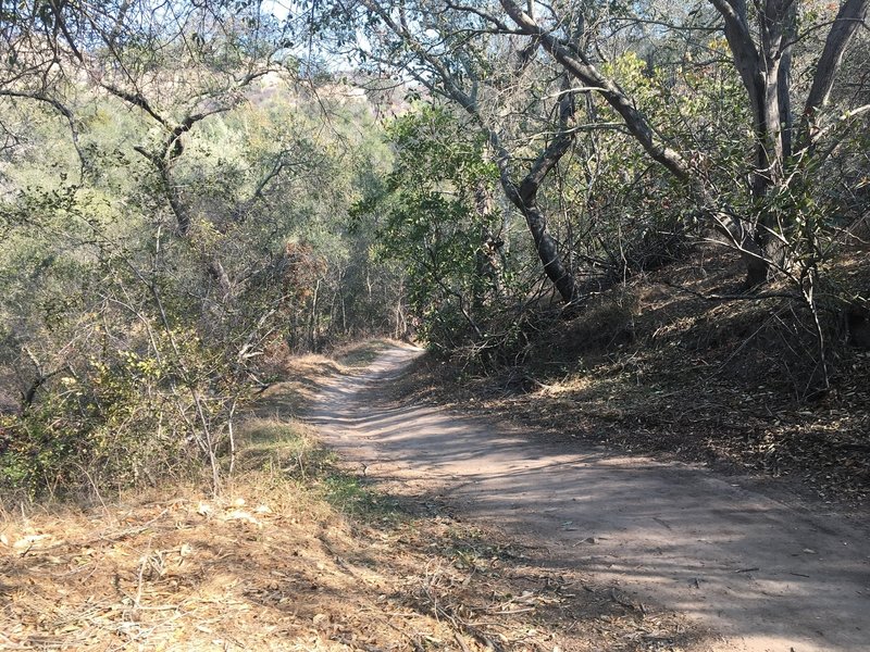 Vista Trail near the bottom