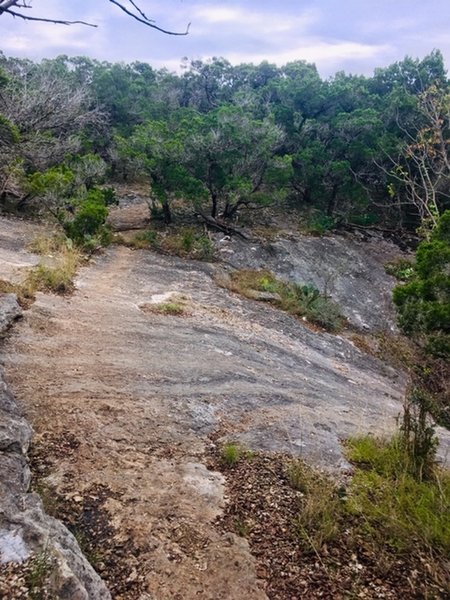 Section of the trail between Russel and Jim Hogg Park. This gets slippery when wet.