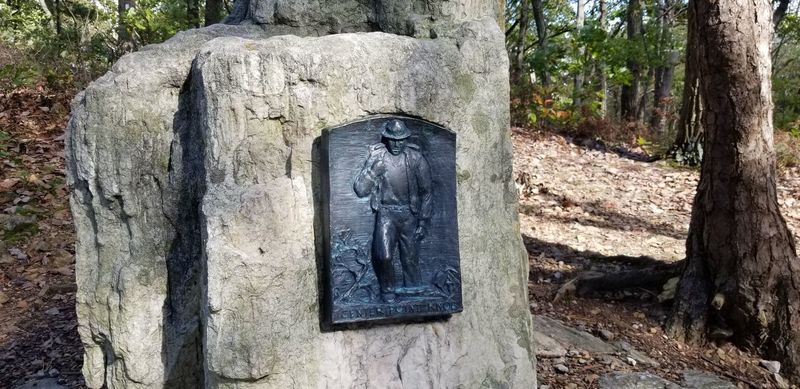 Center Point Knob