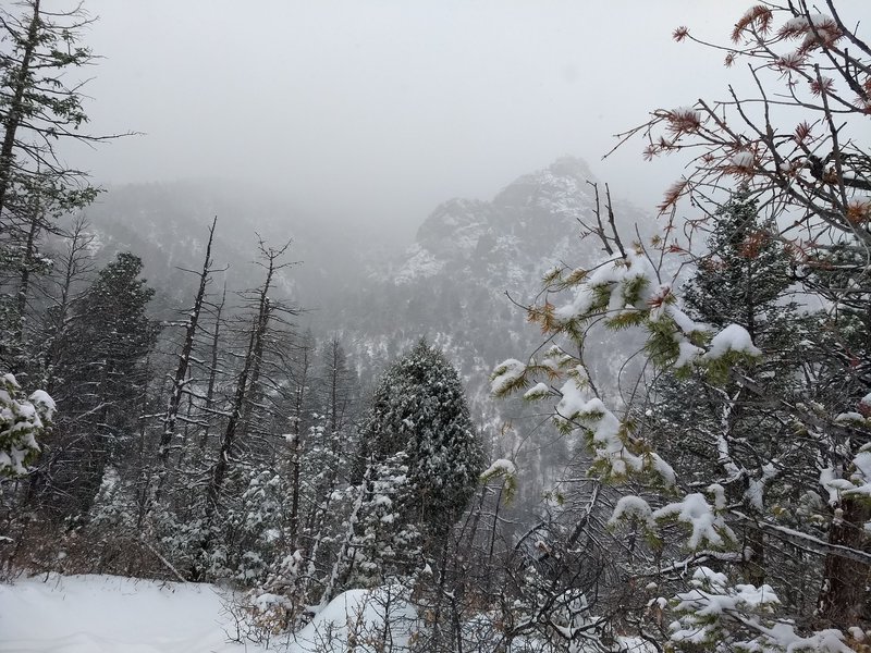 A large mountain in the background from an overlook on Dixon Trail