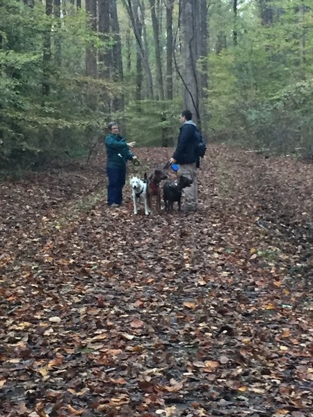 Trail discussions