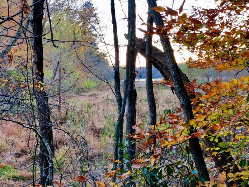 View of the Broad Creek as it flows from the South River