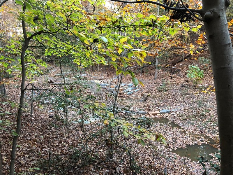 After renovations are complete, the trail can break here and move further down the Broad Creek Park (towards Annapolis High School).