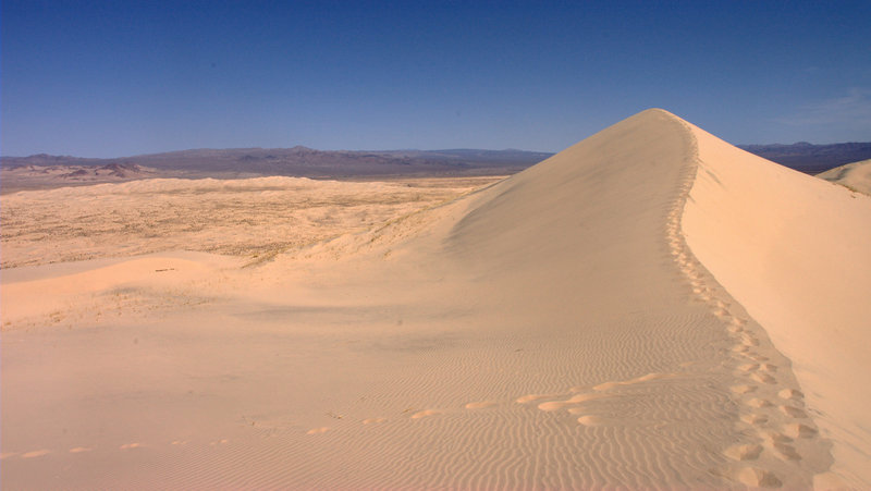 Kelso Dunes