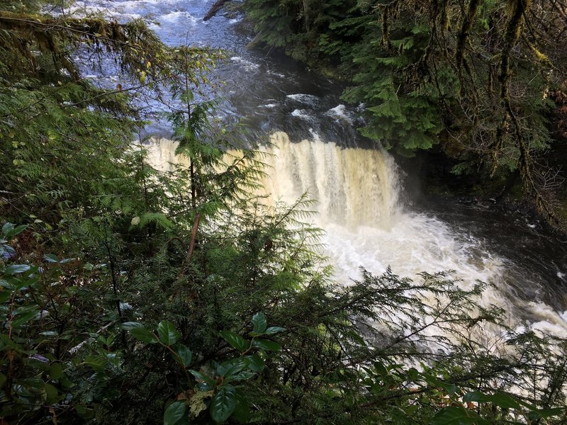 Taidnapam Falls, Lewis River