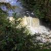 Taidnapam Falls, Lewis River