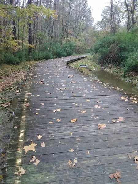 Bridge on Warren Creek Trail