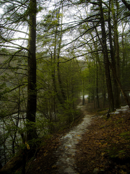 Zoar Trail