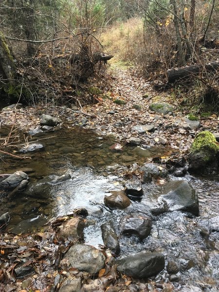 First crossing of Tiger Creek